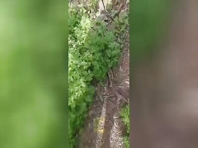 RU POV: Dead Russians literally on every meter