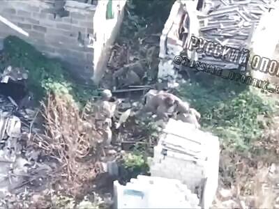 one of the crests decided to become a hero