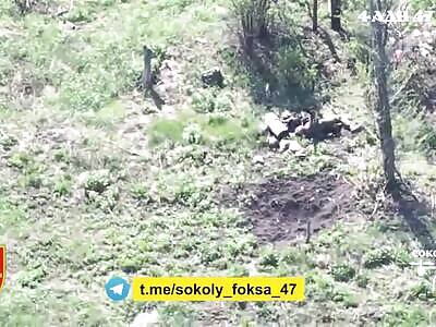 Delivery of grenades for Russians.