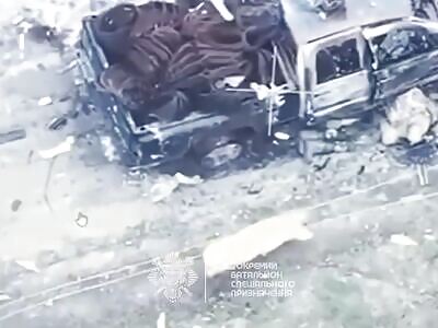 A Pig Under Fire Tried to Eat a Live Solider.