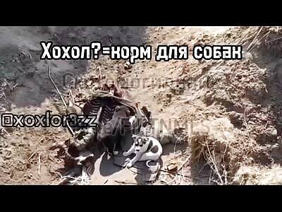 Death in Ukraine compilation