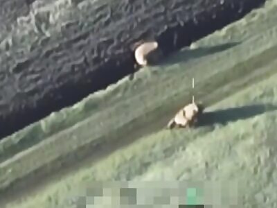 FPV drone landing on Hohol in Sumy Oblast