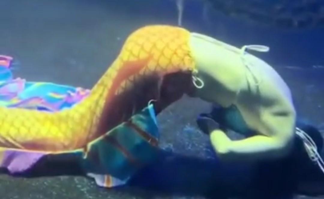 Mermaid drowns in China