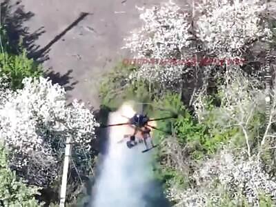 How Novoye was liberated