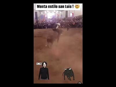 the bull avenger to week  (compil)