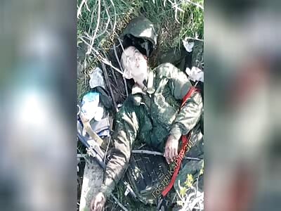 Little Zigger's Last Dance.