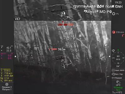 Wild boar hunting in Sumy forests