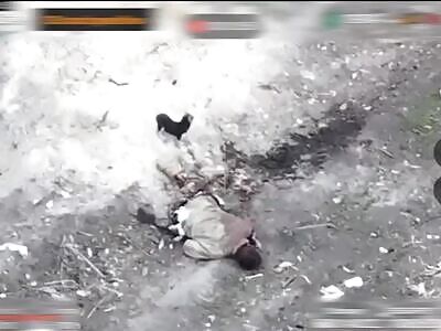 More fertilizer for the Ukrainian holy land.