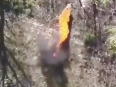 Ukraine Death Comp CV