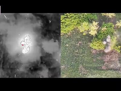 77th brigade clears the land of Russian insects.