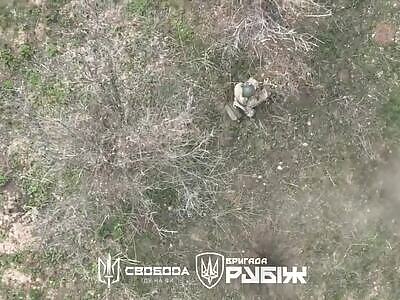 Dead Russians comp II (May 12, 2025)