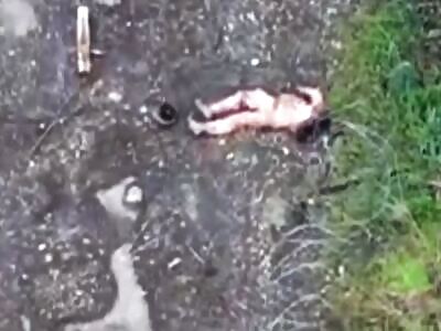 Russian bodies decorate Toretsk.