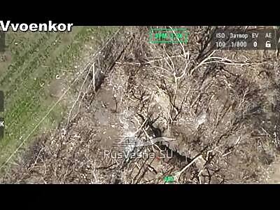 Offensive and storming of Novaya Poltavka: Dostavalovtsy