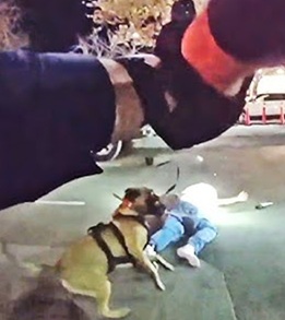 Elk Grove Officers Shoot Man Holding Loaded Revolver Outside In-N-Out