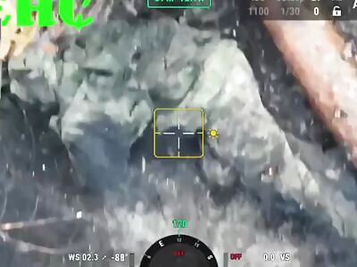 Non-stop extermination of Russians.