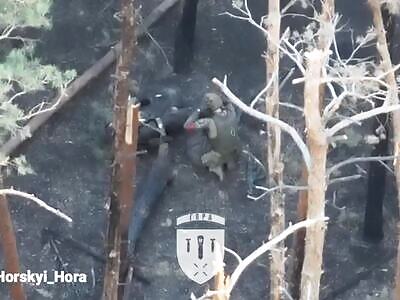 Russians got lost in the forest.