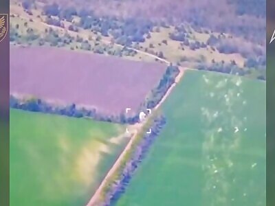 Removal of Russian anti-aircraft missile systems.