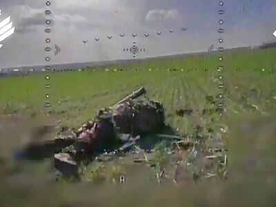 Catching illegal Russian immigrants.