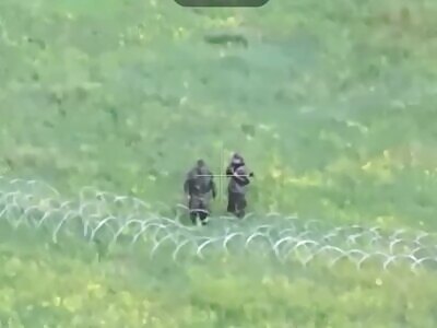 Ivan and Emelya got lost.