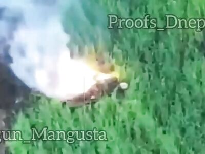 Ukraine Death Comp CVII