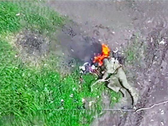 Brain Trauma Orc Stuck in Disturbing Mental Loop