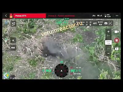 Got high on LGBT smoke and surrendered