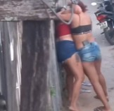 Two bitches fighting