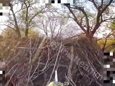 Recent Combat Work comp.