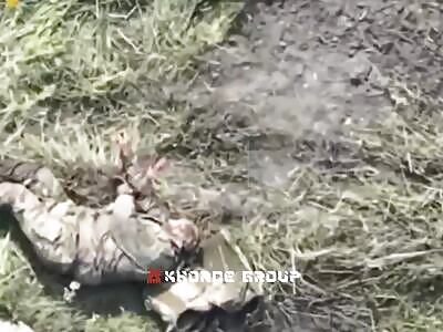 The Sumy offensive ended before it even began