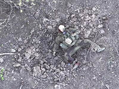 Evil bees attacked the Russians.