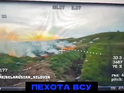 Smurfs in the wrong hood