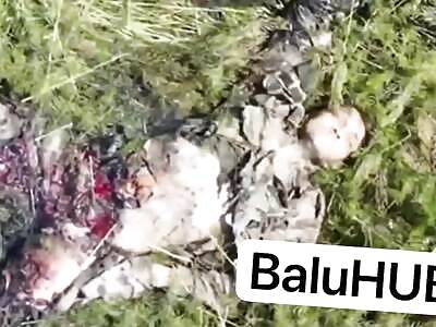 Dead Soldiers comp (June 8, 2025)