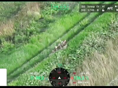 Tried to pretend to be dead + tickets for the express train from Sumy