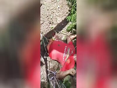 Cut in half, still agonizing