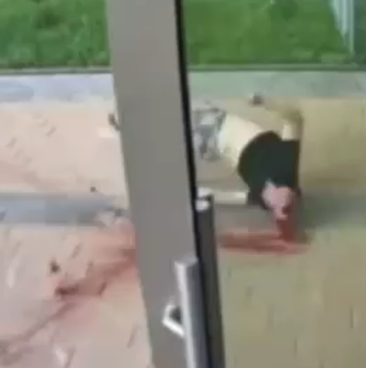 Man Falls 18th Floor Down In Russia