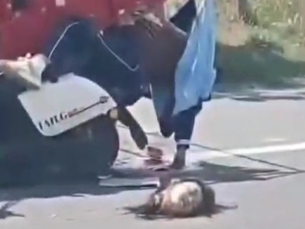 Decapitated head of Chinese girl after crashing her moped into harvest