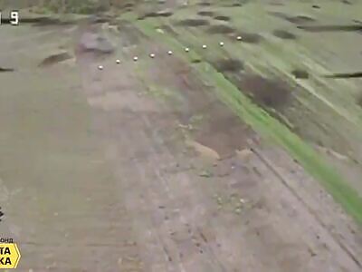 Ukrainian FPVs in action. Chill compilation. 