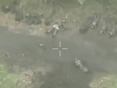 Sumy offensive. Results.