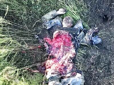 Zigger shows his inner world.