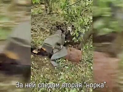 Destroyed Ukrainian position in Sumy region