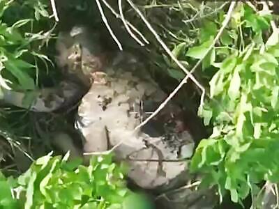 Dead Russians comp (June 19, 2025)