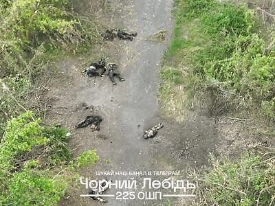 Cattle burial ground in Sumy. Russians fertilize the soil.