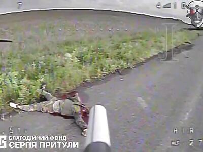 FPV hunting for Russians. Sumy region.