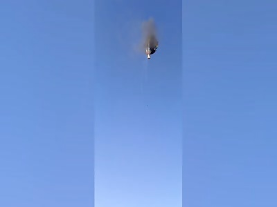 Hot air balloon catches fire during ride, leaving several dead