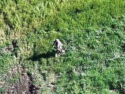 Dead Russians comp (June 21, 2025)