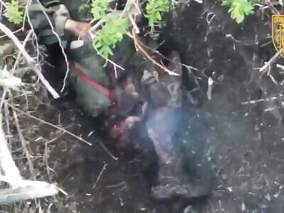 Dead Russians comp II. Sumy edition. (June 23, 2025)