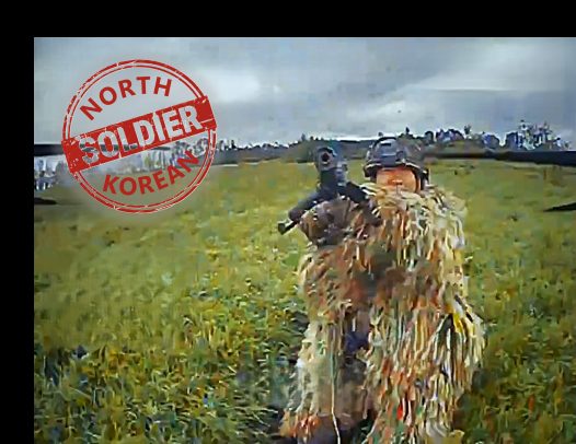 North Korean Drifter Covered in Rice Straws Is Liquidated