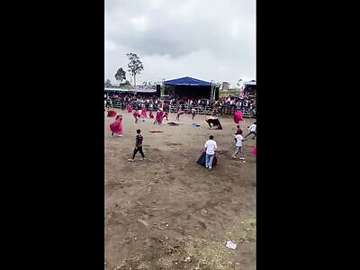 The new bull avengers