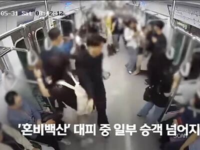 Dude Tried to Turn Subway Into a Bonfire