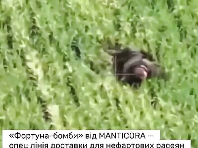 Dead Russians comp III (June 28, 2025)